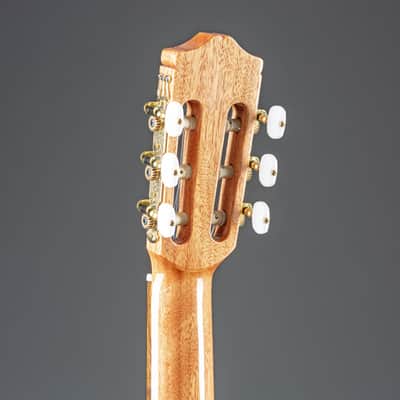 Cordoba C5 CD - 4/4 classical guitar image 5