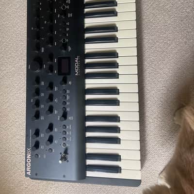 Modal Electronics Argon8X 8 Voice 61-Key Wavetable Synthesizer 2020 - Grey image 1