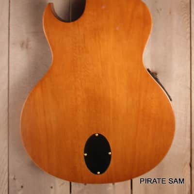 WASHBURN Festival CUSTOM ART Guitar - EACT42S Classical Thinline image 10