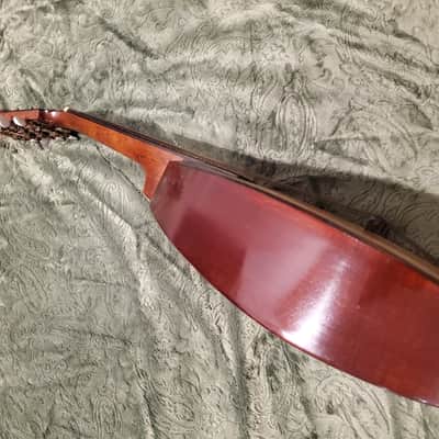 1920's Weymann Mandolute image 14