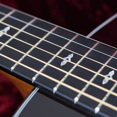Taylor 50th Anniversary 217e-SB Plus LTD | Sunburst image 16