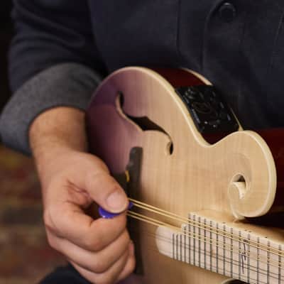 Ortega RMFE200PF Americana Series F-Style Solid Flamed Maple Top Maple Neck 8-String Acoustic-Electric Mandolin w/Croco Leather Case image 17
