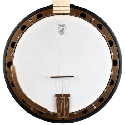 Deering Goodtime Two 5-String Banjo (G2) image 9