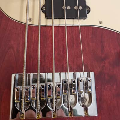 Alien Audio Constellation 5 String Bass image 7