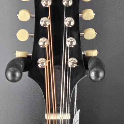 Eastman MD505CC/TV A Style Mandolin image 5