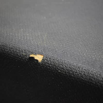 Fender Bassman 115 Bass Cabinet image 4