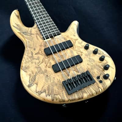 Elrick Basses EVO Gold 5 - Ambrosia Maple 2024 - Satin image 4