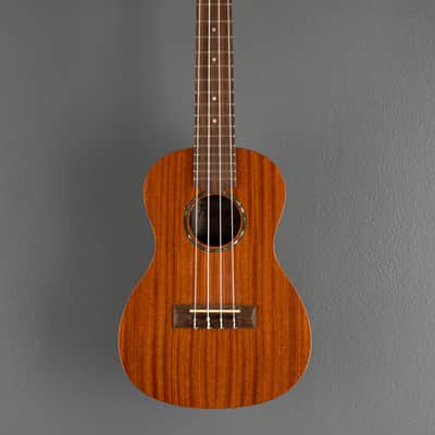 Cordoba Protege U1-M, Recent image 3