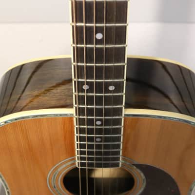 Zager ZAD-80 Acoustic Guitar Signed W/ Case image 9