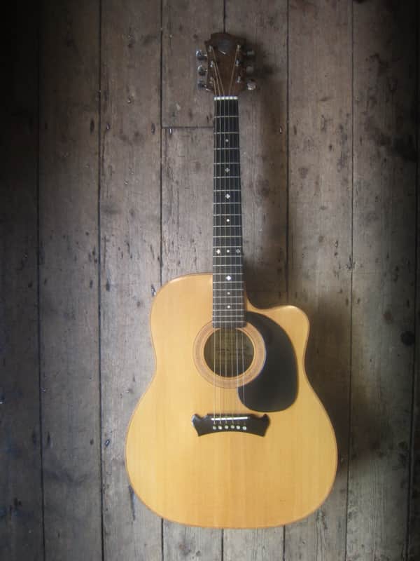 Zemaitis Acoustic - Very rare 1960's Cutaway - Super Rare! image 1