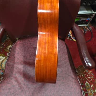 Wolfram The Triumph Metal Fret Board Slotted Headstock 12 Fret Parlor 1890s 1900s 1910s image 6