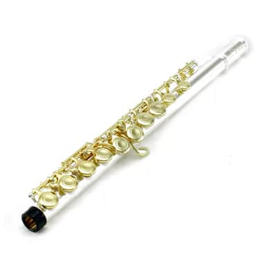 Brand New Silver Plated C Flute with 24K Gold Keys – Band Approved, Case & Accessories Included image 2