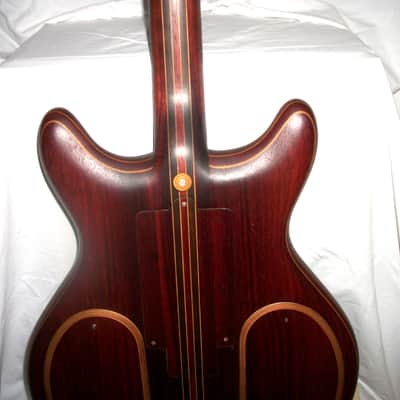 The Joker.THE Guitar! image 12