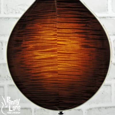 Collings MT2 Adirondack Spruce Top A-Style Mandolin image 4