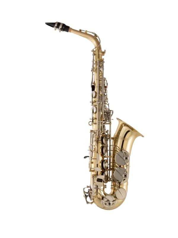 Selmer SAS301 Alto Saxophone Outfit image 1