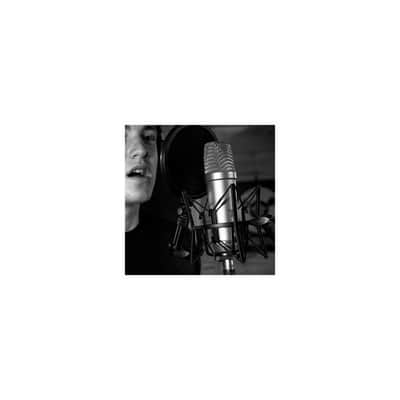 RODE SM6 Shockmount with Detachable Pop Filter image 3