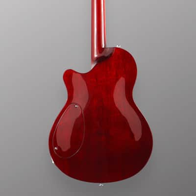 CP Thornton Guitars Professional - Darkburst w/ 5A Flame Maple Top. NEW (Authorized Dealer) image 8