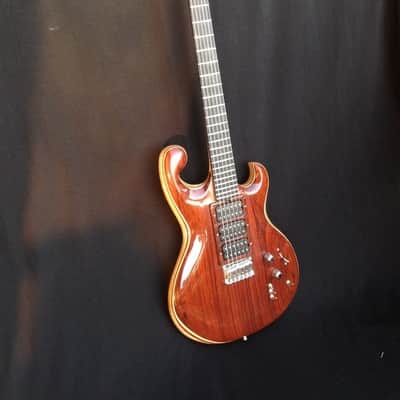 Waldschmidt Guitars-Jerry Garcia Tiger Clone image 11