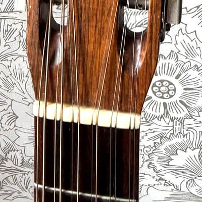 Chris Eccleshall, Electro Acoustic - Custom Commissioned - 12 String , 74/75, Exc Condition, Hiscox Case, Free worldwide Shipping ! image 9