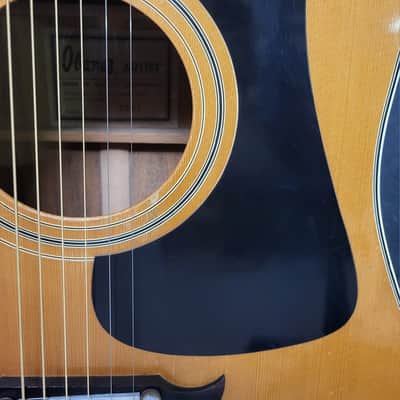 Video Demo Vintage 1977 Ibanez Model 2601 Artist Jumbo Dreadnought Pro Setup Soft Shell Case image 5