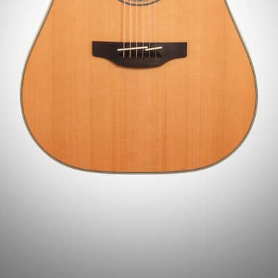 Takamine GD20 Dreadnought Acoustic Guitar image 3