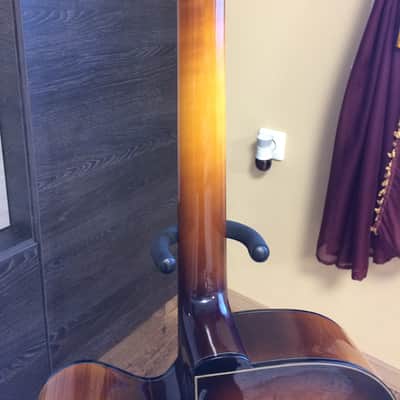 Elferink Excalibur 2016 Sunburst image 10