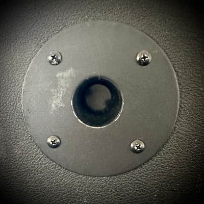 1975 Fender Vibro Champ - ‘75 Silverface image 13