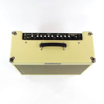 Roland Blues Cube Artist image 2