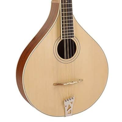 Richwood Master Series RIBZ-40 Irish Bouzouki image 1