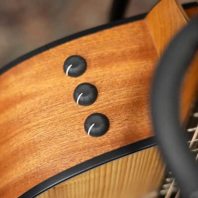 Taylor 114ce Grand Auditorium Acoustic-Electric Guitar with Structured Gig Bag image 9
