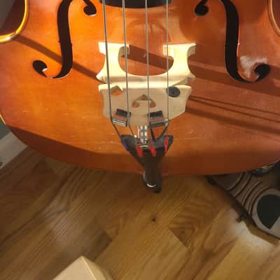 Upright Double Bass - Hermann Beyer E230 / 3 1999 image 3