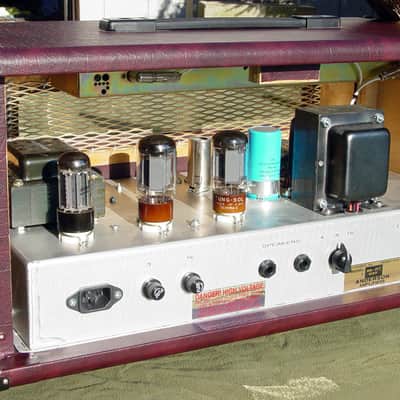 2 of Bill Frisell's amps for sale SOLD ELSEWHERE image 7