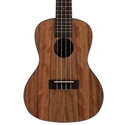 Kala KA-PWC Pacific Walnut Concert Ukulele