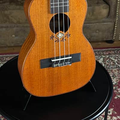 Leho LHUC-ASM-CEL All Solid Mahogany Concert Ukulele + incl. Gigbag image 10