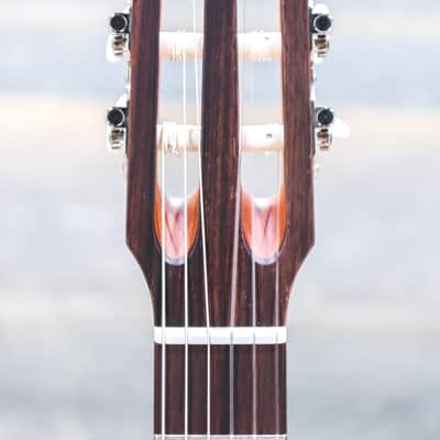 Godin Multiac Nylon Encore Spruce Lightburst SG Prototype "B-Stock" Electro-Classical Guitar w/Bag image 7