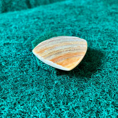 Seashell guitar pick/2.7mm thick, jazz profile, grip surface … by BeachSidePicks image 5