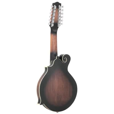 *DEMO* Gold Tone 12-String F-Style Mando Guitar w/ Hardshell Case image 3