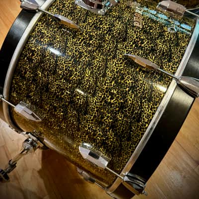 Pearl 60s Mahoghany drum set Leopard wrap 13,16,22 - Evans USA heads image 5