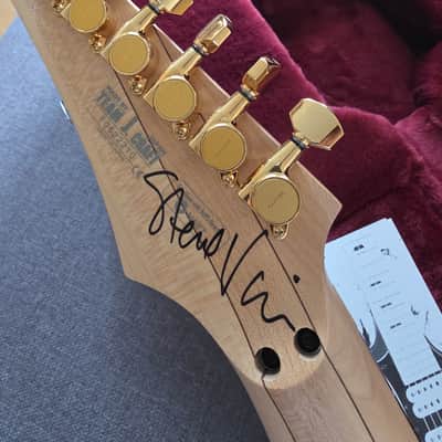 SIGNED by Steve Vai!!! Original Team J. Craft from Japan, Gold HW. image 10