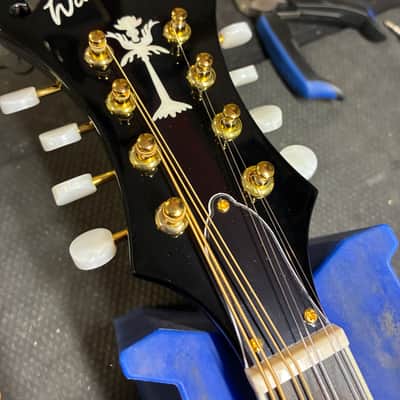 Washburn M1SDLB Bluegrass Series image 3