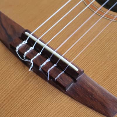 Lakewood M-1 CCP Grand Concert Nylon String Acoustic w/Cutaway & Pickup System image 5