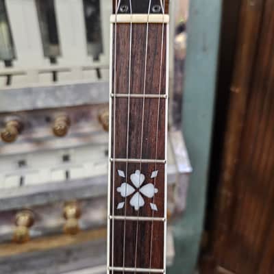 2007 Gold Tone PS-250 Plectrum Banjo image 5