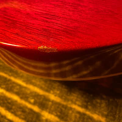 Gibson Les Paul Slash AFD 2010 image 21