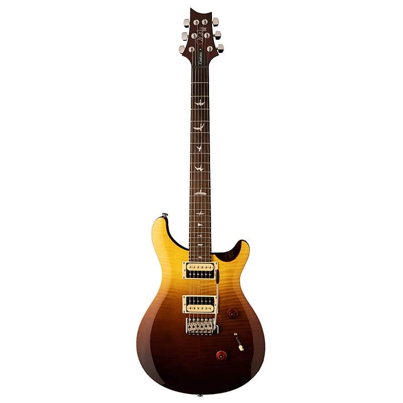 PRS Limited Edition SE Custom 24 Fade image 1