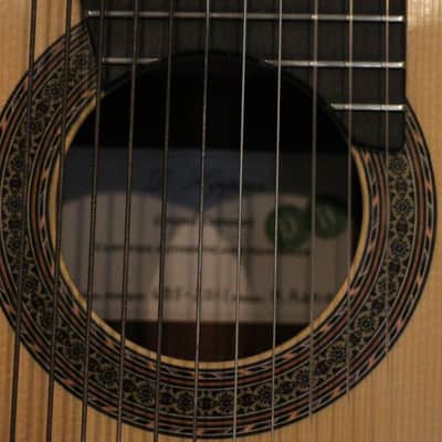Darren Hippner 11 string Concert Classical 2011 image 7