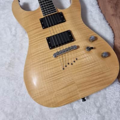 Washburn X 50 2007 Natural Flame Maple image 1