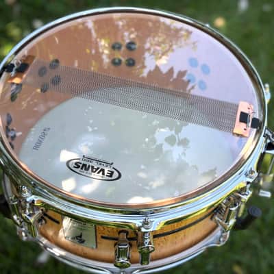Sonor  Benny Greb Signature Snare 1.0 - Beech shell / Birch veneer image 2