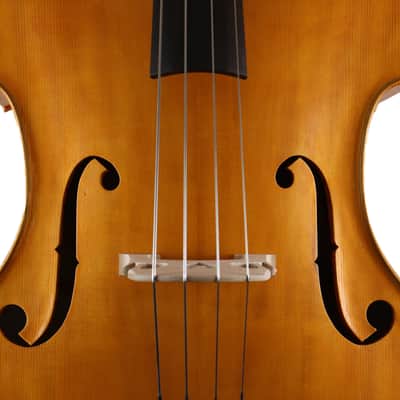 3/4 Double bass, Fried Van Doorslaer, Exeter, 2024, handmade image 4