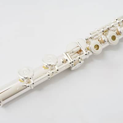Muramatsu EX-III RCE image 7