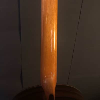 Kolya Panhuyzen Classical Guitar 2012 Cedar/Ziricote image 10